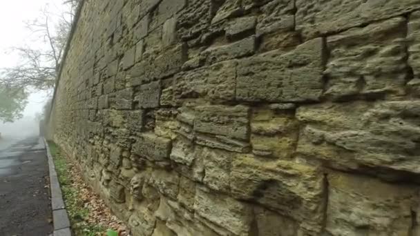 Περπατήστε Κατά Μήκος Του Παλιού Βράχου Κέλυφος Και Ψαμμίτη Τοίχο — Αρχείο Βίντεο