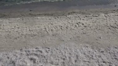 Deniz kenarında ya da okyanusta alglerle dalgalar yavaşça ıslak kumun üzerinden geçer.