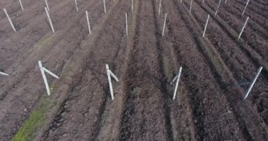 Üzüm taşıyan asmaların hava manzaralı tarlaları, sonbaharın sonlarında yamaçlardaki beton direklerde budanmış üzümler.