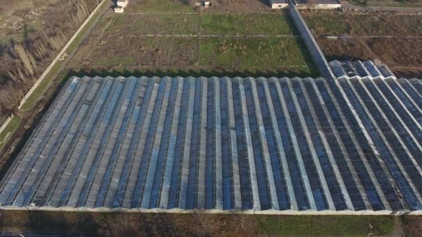 温室の空中ビュー 太陽光パネルに似た温室内の植物や農業分野への太陽のアクセスのためのガラス屋根 — ストック動画