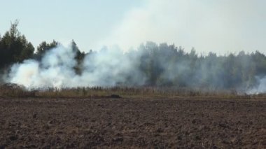 Kurak yaz mevsiminde, bir tarım tarlası, trajedi ve tehlike yakınlarında orman kenarında yangın patlak verdi.