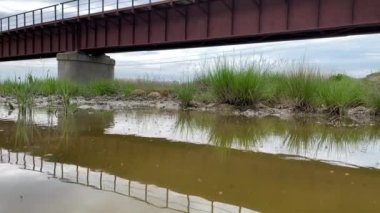 Midges, sivrisinekler uçuyor, mavi gökyüzü ve demiryolu köprüsü bataklığa yansıyor. Bataklık manzarası