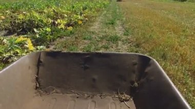 Tarla tarlasında tarım arabasının taşınması görüntüsü