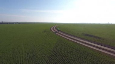 Hava görüntüsü. Sert şapkalı ve koruyucu ceketli bir adam yeşil tarlalarda bisiklet sürüyor.