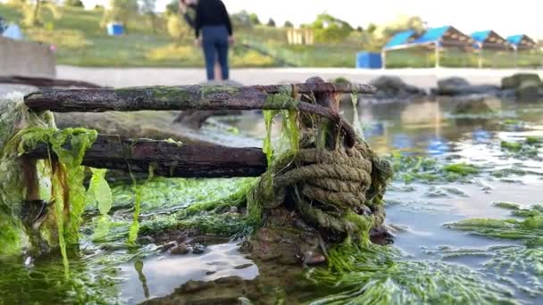 Причальные Линии Ржавой Железной Балке Мокрая Ветка Конопли Рядом Водорослями — стоковое видео