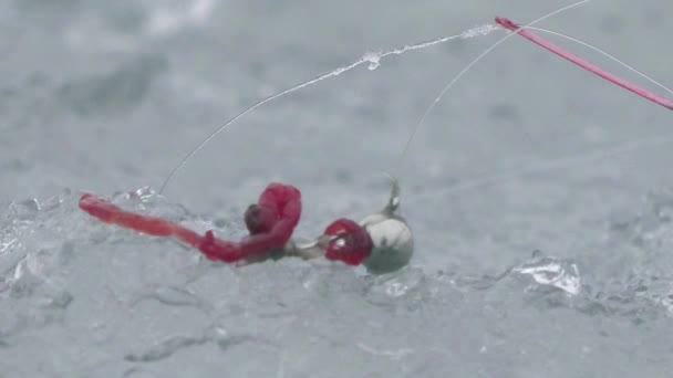 Caña de pescar río en invierno en hielo cerca del agujero — Vídeo de stock