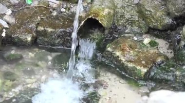 Taze bahar paslı boru aracılığıyla akar