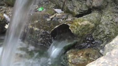 Taze bahar paslı boru aracılığıyla akar