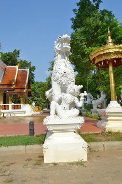 Tayland tapınak, chiangmai adı wat pa dara phirom.