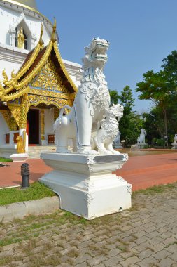 Tayland tapınak, chiangmai adı wat pa dara phirom.