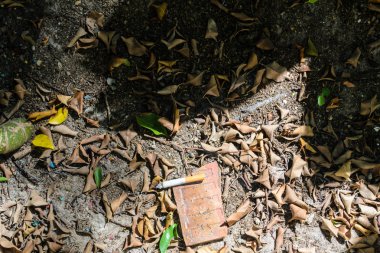 Bahçe katı üzerinde closeup filtre Sigara