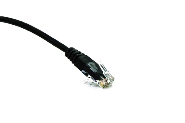 Cable type cat5 use for connect to network on white background. — Stock Photo, Image