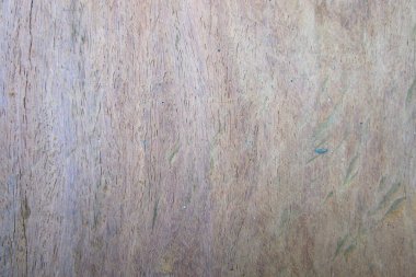 Eski portre ahşap doku akşam göstermek için.