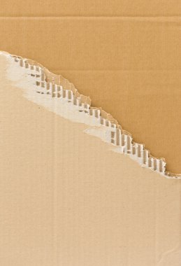 yırtık Oluklu karton.