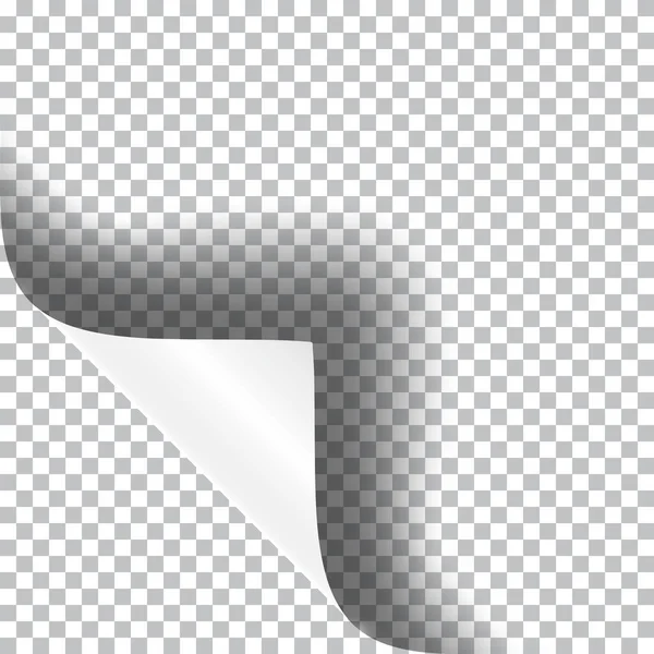 Kağıt kağıdın kıvrımlı köşesi, şeffaf gölgeli gerçekçi vektör çizimi.