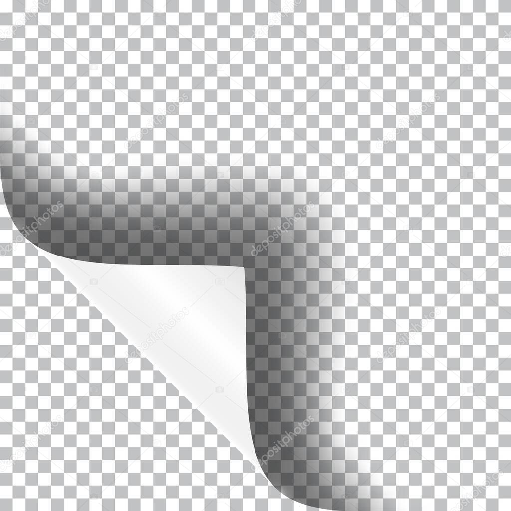 Curly corner of a paper sheet, realistic vector illustration with transparent shadow.