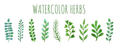 Elleri fırçayla boyanmış, beyaz arka planda izole edilmiş suluboya yeşil bitkiler koleksiyonu. Vecot illüstrasyonu