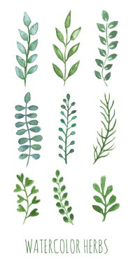 El boyalı su renk otlar.