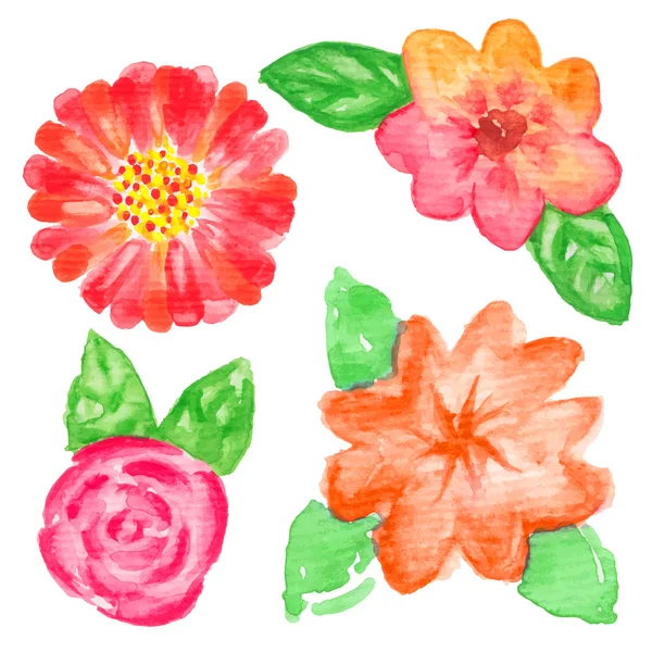 Watercolor flowers. — Stock Vector