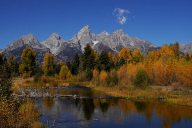 Wyoming 'deki Grand Teton Ulusal Parkı' nda Teton Dağları ile sonbahar renkleri