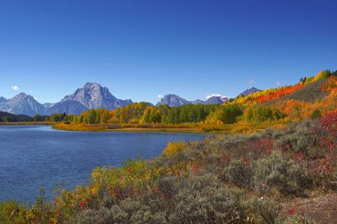 Wyoming 'deki Grand Teton Ulusal Parkı' nda Oxbow Bend 'de sonbahar rengi