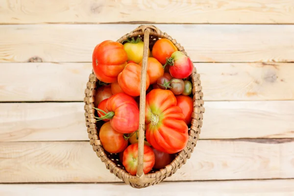 Tomaten op de houten tafel — Stockfoto