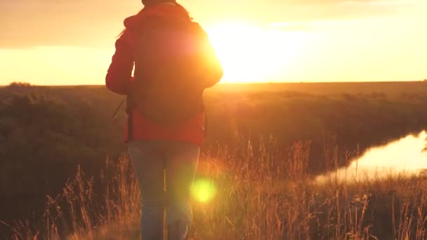 Meisjesreiziger in de stralen van de zonsondergang zon met een rugzak. Jonge vrouw toeristische wandelingen op een hoge berg voldoen aan de zonsopgang. Dorst naar avontuur om jezelf te vinden. Onderzoeksresultaten van verschillende — Stockvideo