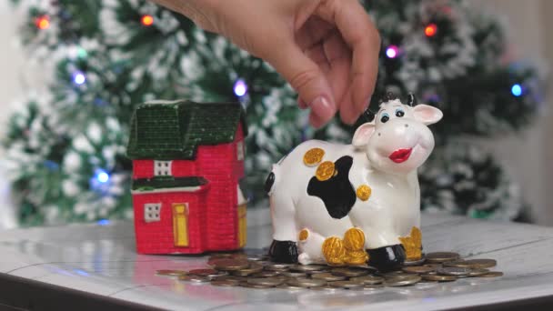 Piggy bank cow. Christmas. 2021 new year. Year of the bull. Concept. Saving money as a way of life. Close-u — Stock Video