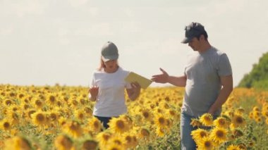 Dizüstü bilgisayarı olan çiftçi erkek ve kadın ayçiçeği tarlasında tokalaşıyorlar. tarım sektörü konsepti. İş adamı ve tarımcı, tohum hasadını değerlendirmek için tarlada çalışıyor. takım çalışması
