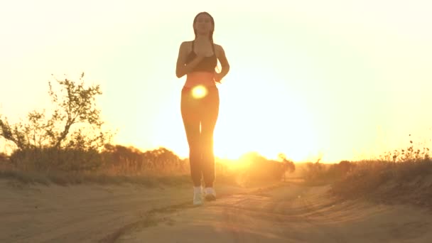 Biegaczka biegająca po parku uprawia sport. Biegaczka biegająca po szlaku natury. kobieta na rano jogging zielony park zdrowi ludzie prowadzą aktywny park koncepcja. dziewczyna uruchomić zachód słońca sylwetka styl życia — Wideo stockowe
