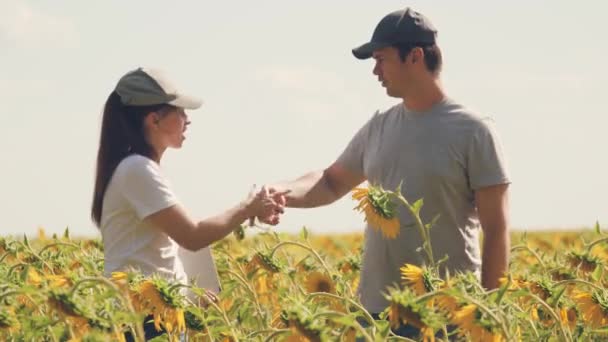 Granjero hombre y mujer con portátil estrechan las manos en un campo de girasol en flor. concepto de agronegocio. hombre de negocios y agrónomo están trabajando en el campo, evaluando la cosecha de semillas. Trabajo en equipo — Vídeos de Stock