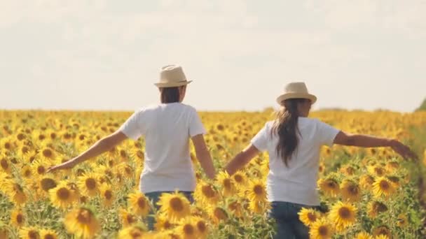 Genç kızlar tarlada ayçiçekleriyle yürür ve gülümserler. Yaz günü çiçek ekerek yürür. Çiftçilerin çocukluğu. Kız arkadaşlar birlikte. Bitki yağı sıkmak için tohum yetiştirmek — Stok video