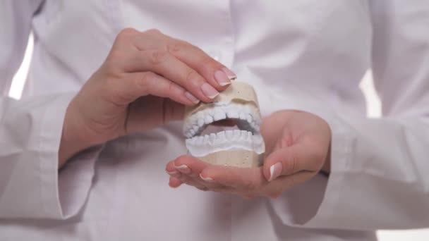 Dents blanches en plâtre dans les mains d'un orthodontiste. Faites un beau sourire sain à l'hôpital dentaire. Correction de la morsure des enfants. Spécialiste en dentisterie. Vitamine calcique — Video