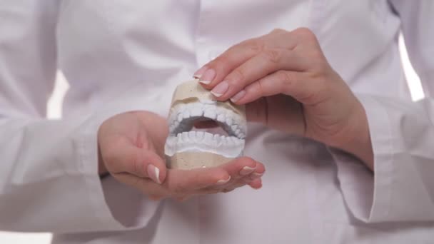 Witte tanden gemaakt van gips in de handen van een orthodontist. Maak een mooie en gezonde glimlach in het tandheelkundig ziekenhuis. Correctie van de beet van kinderen. Tandartsspecialist. Calciumvitamine — Stockvideo