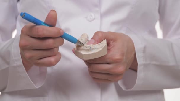 Bir ortodontistin ellerinde alçıdan yapılmış beyaz dişler. Diş hastanesinde güzel ve sağlıklı bir gülümseme yap. Çocukların ısırığının düzeltilmesi. Diş işi uzmanı. Kalsiyum vitamini — Stok video