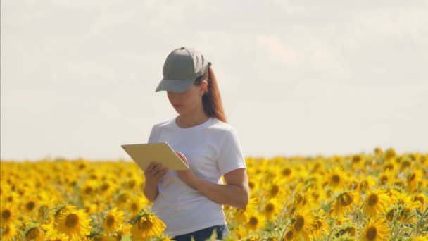 Gökyüzüne karşı ayçiçekleri olan bir tarlada tabletli kız. Agranom, modern teknolojilerle petrol için büyüyen ayçiçeği tohumlarının analizini yapar. Profesyonel çiftçiler tarafından yetiştirilen çiçek tohumları — Stok video