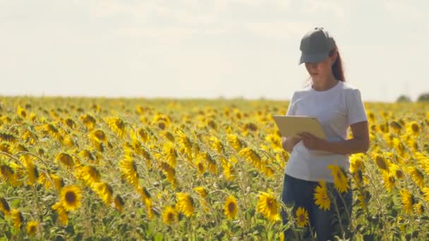 En agronom med en tablett i händerna arbetar på ett fält med solrosor. Göra försäljning på nätet. Flickan arbetar på fältet med att analysera växtodlingens tillväxt. Modern teknik. Ordning — Stockvideo