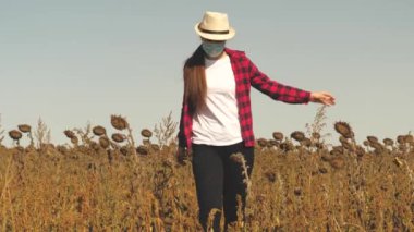 Tarım uzmanı kız tarlada hasat yapmak için ayçiçeği hasadının olgunluğunu kontrol ediyor. Toplu çiftçi, yetiştirilen çiçek tohumlarını analiz ederek çalışır. Bakılacak bir iş adamı.
