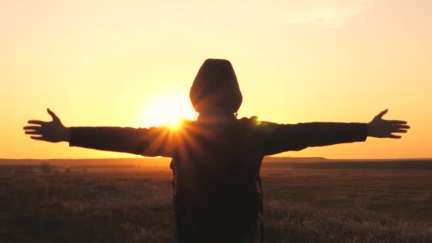 Livre e feliz turista masculino levantou as mãos para cima apreciando o ar inspirador ao pôr do sol no céu. Uma pessoa viaja sozinha nas áreas da natureza. Um turista que alcançou a vitória e atingiu a meta — Vídeo de Stock