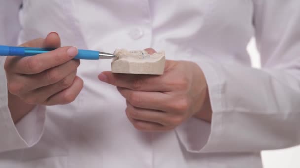ऑर्थोडॉन्टिस्टच्या हातात प्लास्टरपासून बनविलेले पांढरे दात. दंत रुग्णालयात एक सुंदर आणि निरोगी स्मित करा. मुलांच्या चाव्या सुधारणे. दंत व्यवसाय तज्ञ. कॅल्शियम व्हिटॅमिन — स्टॉक व्हिडिओ
