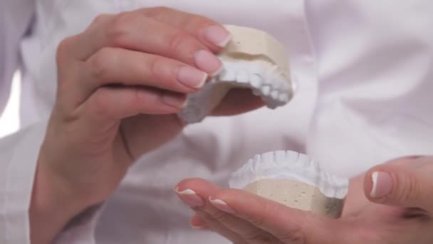 Dents blanches en plâtre dans les mains d'un orthodontiste. Faites un beau sourire sain à l'hôpital dentaire. Correction de la morsure des enfants. Spécialiste en dentisterie. Vitamine calcique — Video