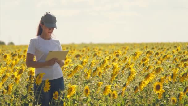 Ein Agronom mit einer Tablette in der Hand arbeitet auf einem Feld mit Sonnenblumen. Verkäufe online tätigen. Das Mädchen arbeitet auf dem Feld und analysiert das Wachstum der Pflanzenkultur. Moderne Technik. Ordnung — Stockvideo