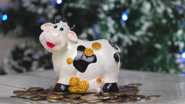 Uma vaca porquinha. No Natal. 2021 ano novo. Ano do touro. Conceito. Salvar dinheiro como forma de vida. Fechar-u — Vídeo de Stock