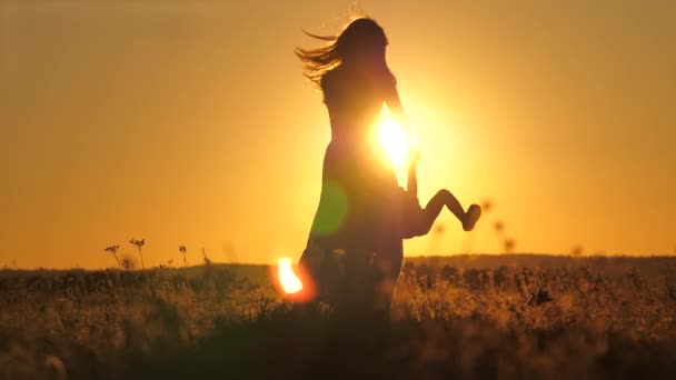 La silhouette di una madre felice sta girando tra le sue braccia in volo di un bambino piccolo al tramonto nel cielo. La mamma gioca con i bambini all'alba. Felice concetto di famiglia. Genitore e bambino nel bagliore del sole in — Video Stock