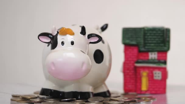 Piggy bank white bull. Christmas. 2021 new year. Year of the bull. Concept. Saving money as a way of life. Close-up — Stock Video