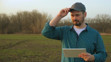 Gün batımında tarla buğdayında tarım yapan çiftçi. Ekokültür çiftliği. Kıdemli çiftçi, işyeri sahibi tarla buğdayındaki tablete bakıyor. Elinde tabletle kıdemli tarım uzmanı. Çiftçi tarım uzmanı eko-ekinleri kontrol ediyor