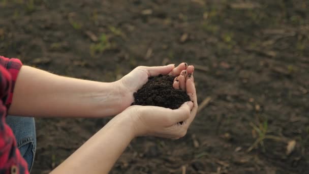 As mãos de uma camponesa seguram um punhado de solo fértil com as próprias mãos, uma vista de cima. O conceito de agricultura, agronegócio — Vídeo de Stock