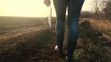 Ziraat. Akıllı tarım teknolojisi. Çiftçilerin yakın plan resimleri, gün batımında yeşil çimen buğday tarlasında dijital tabletle ayaklarının üzerinde yürüyor. Çiftçilik tarım kavramı