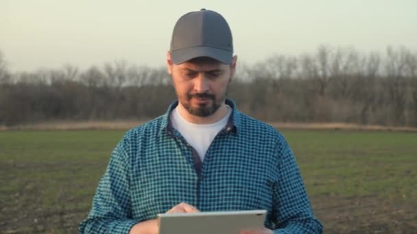 Boer landbouwkundige in veldtarwe bij zonsondergang. Ecocultuur boerderij. Senior boer, ondernemer kijkt in tablet in veldtarwe. Senior agronomist met tablet in handen. Landbouwkundige controles op eco-gewassen — Stockvideo