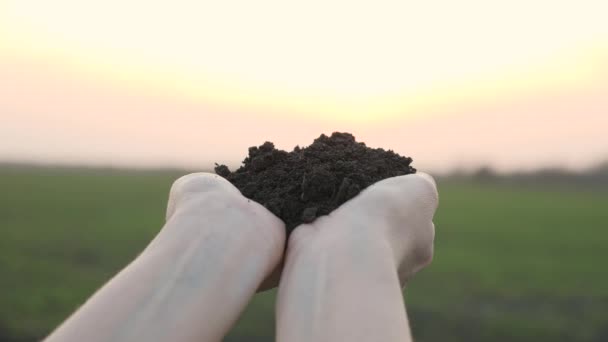 Boer handen houden de aarde tegen de achtergrond van de zonsondergang hemel, zaken over de teelt van gecultiveerde planten in het veld — Stockvideo